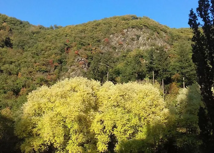 Domizil * 바트베르트리흐